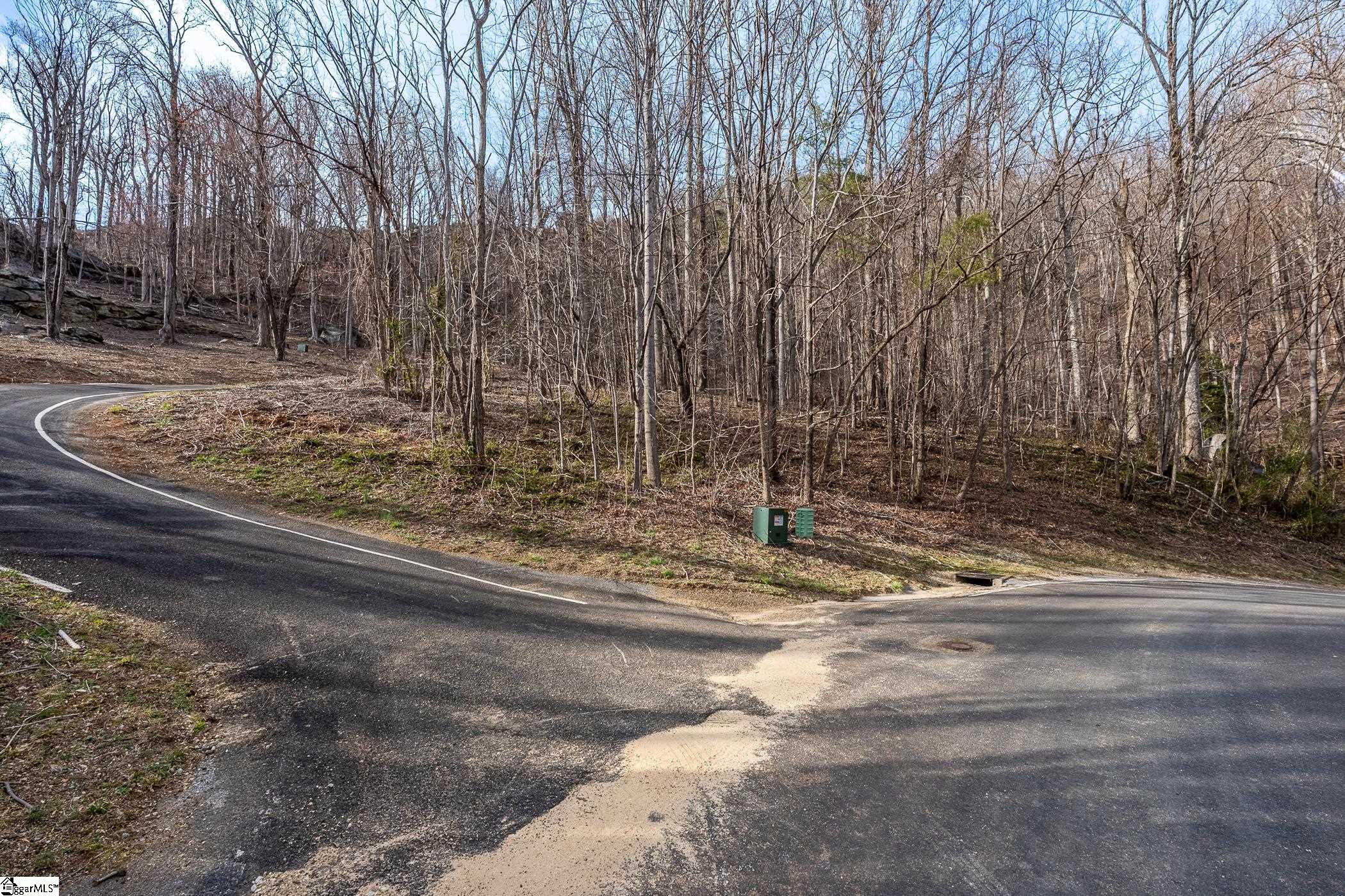 High Country Way Landrum, SC 29356 - Photo 23 of 23