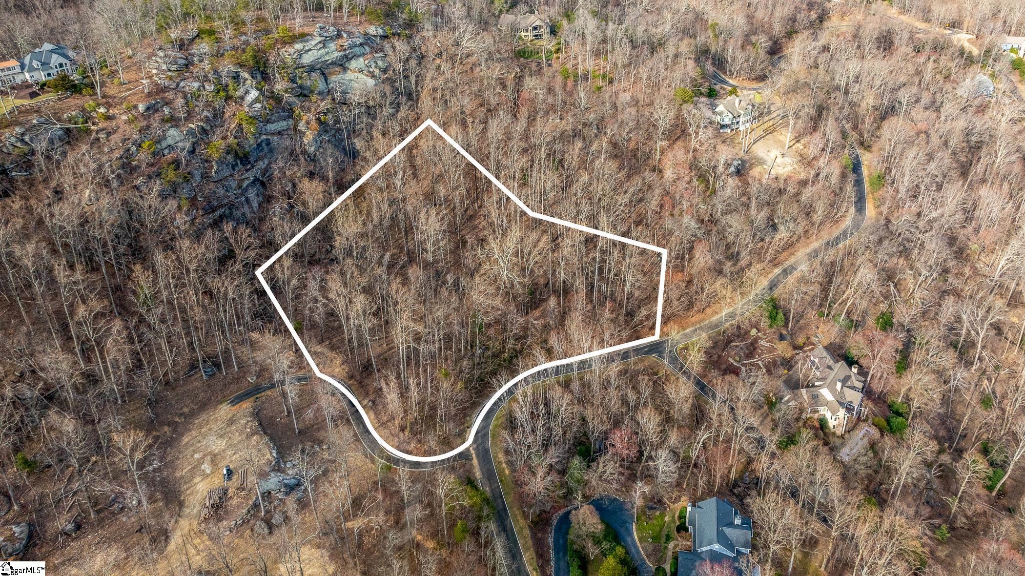 High Country Way Landrum, SC 29356 - Photo 3 of 23