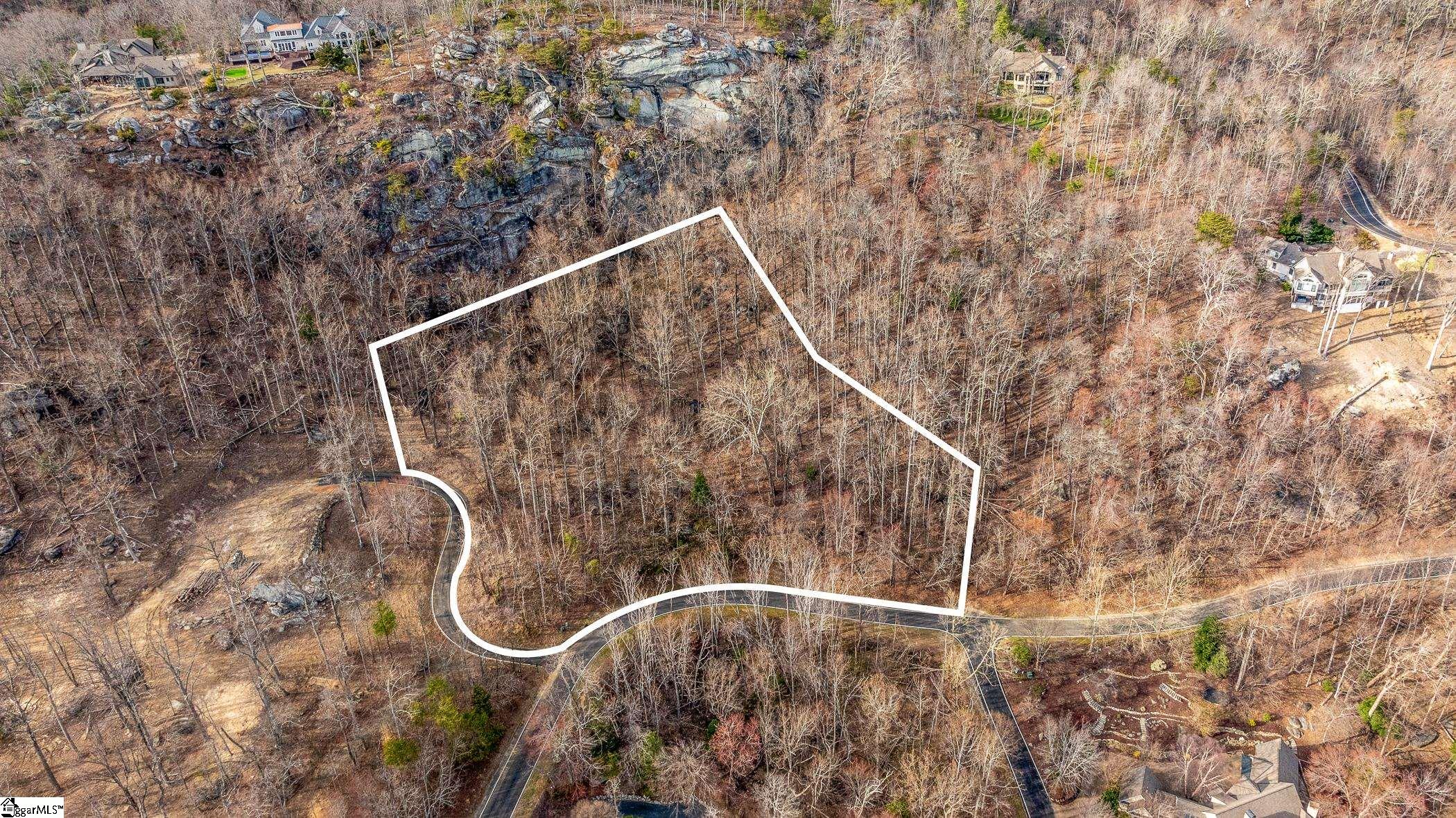 High Country Way Landrum, SC 29356 - Photo 4 of 23