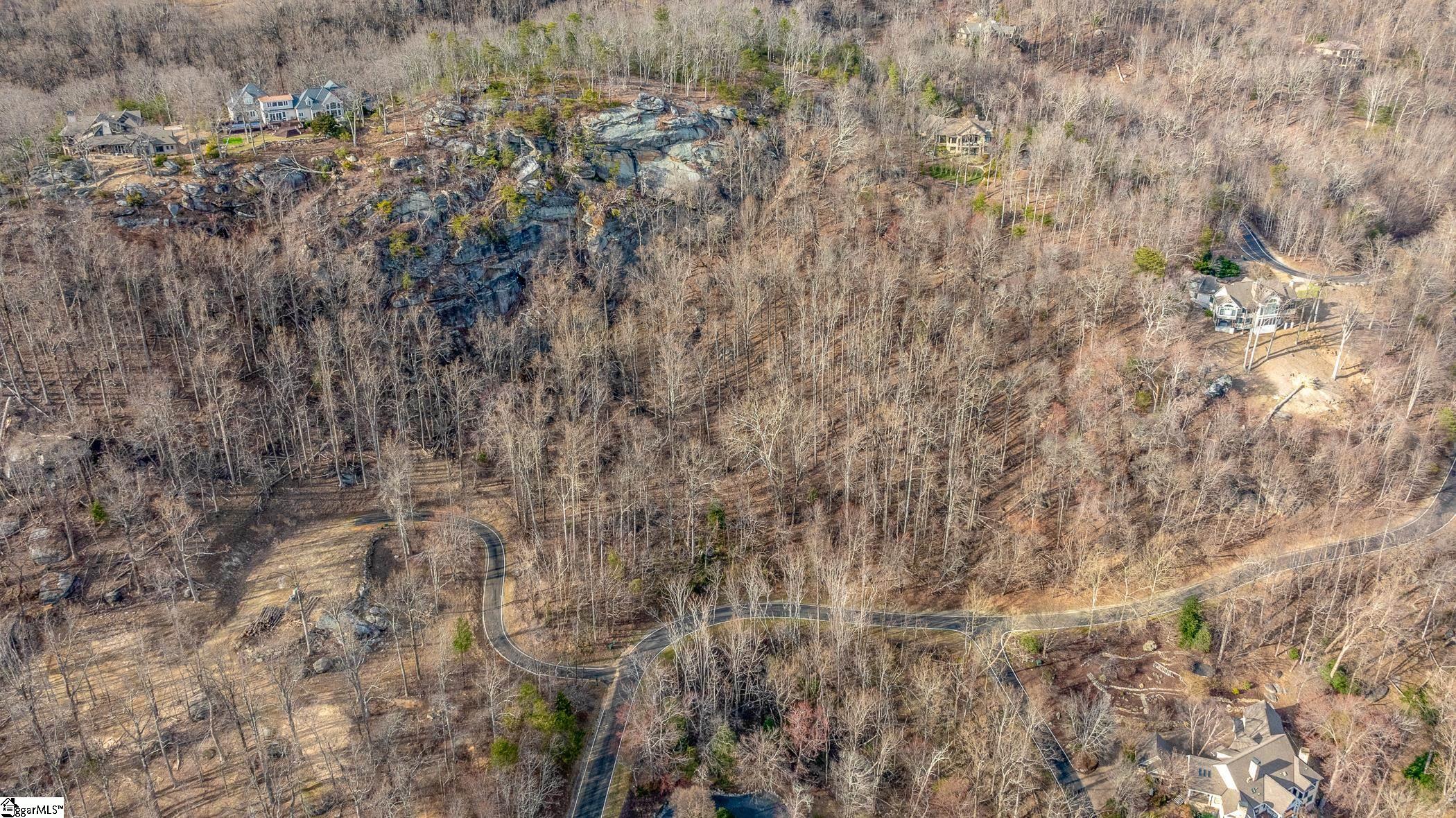 High Country Way Landrum, SC 29356 - Photo 6 of 23