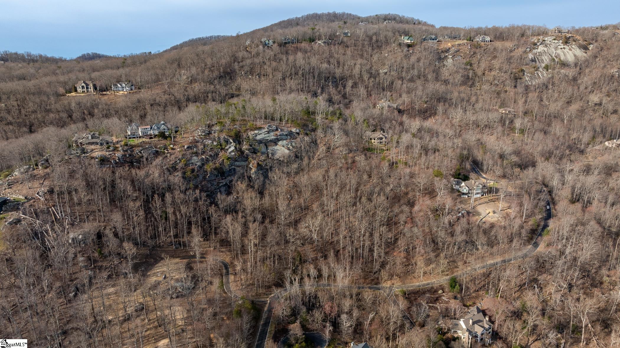 High Country Way Landrum, SC 29356 - Photo 7 of 23