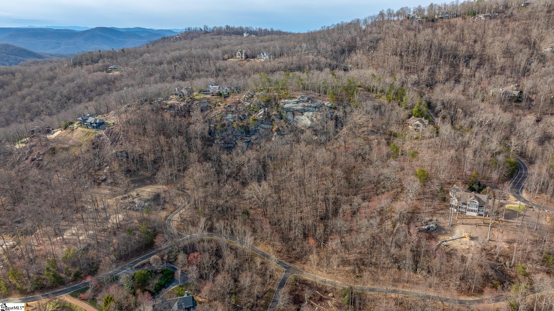 High Country Way Landrum, SC 29356 - Photo 8 of 23