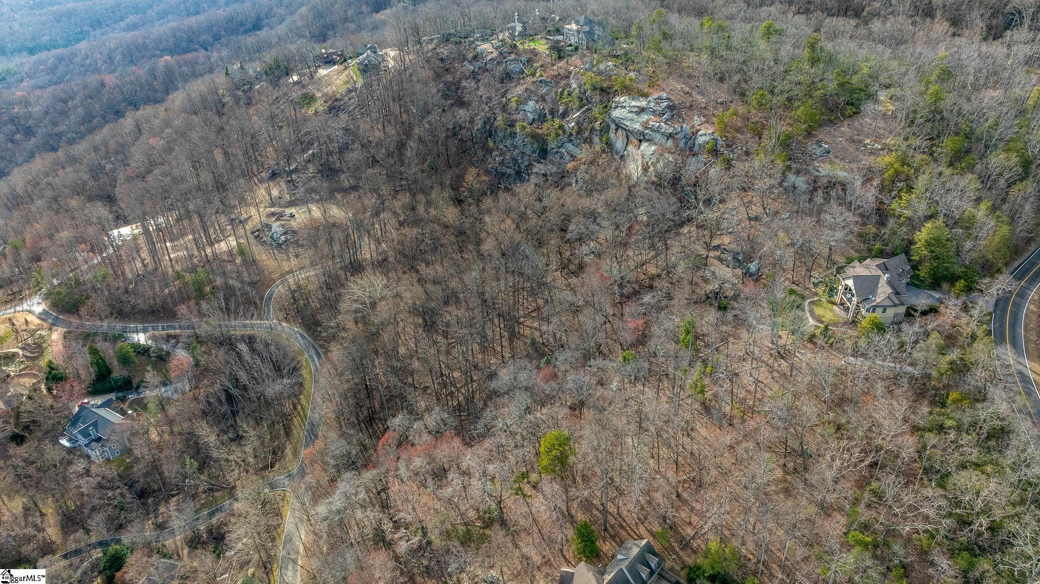 High Country Way Landrum, SC 29356 - Photo 10 of 23