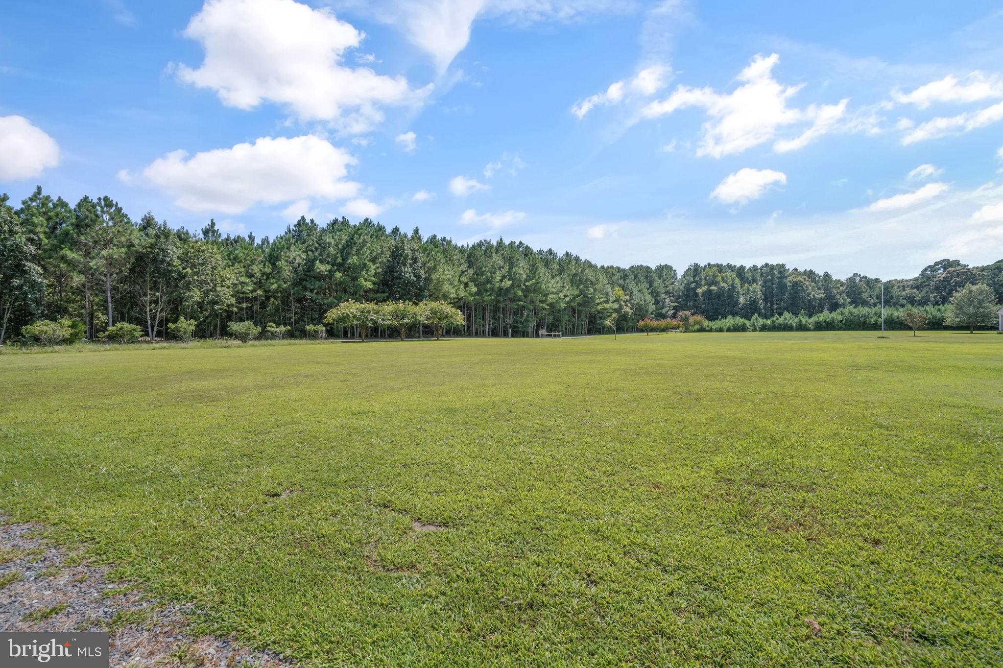 23026 Stone House Road Onley, VA 23418 - Photo 36 of 48 Gallery Image 36