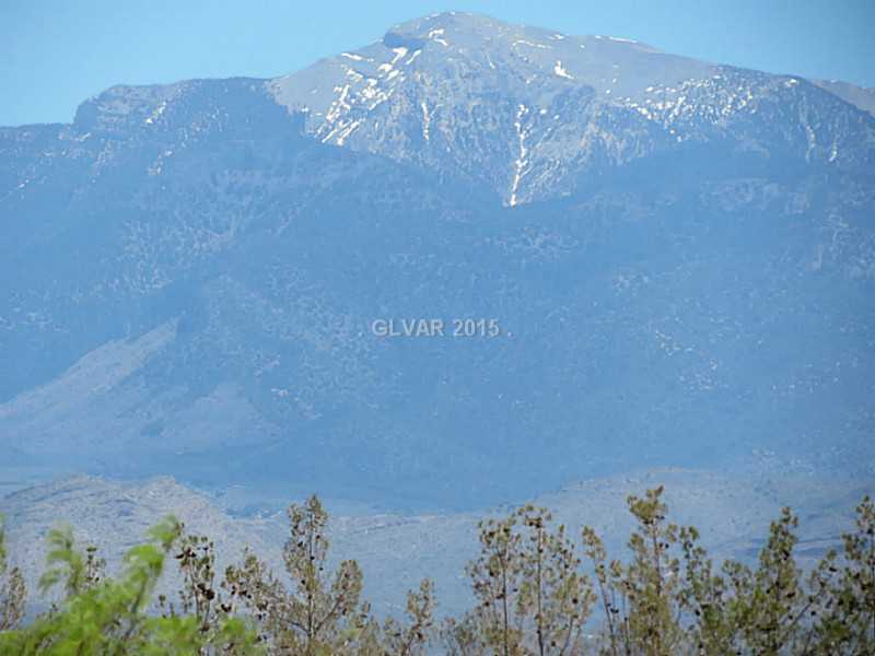 891 Piltz Road Pahrump, NV 89060 - Photo 5 of 8 Property Photo.