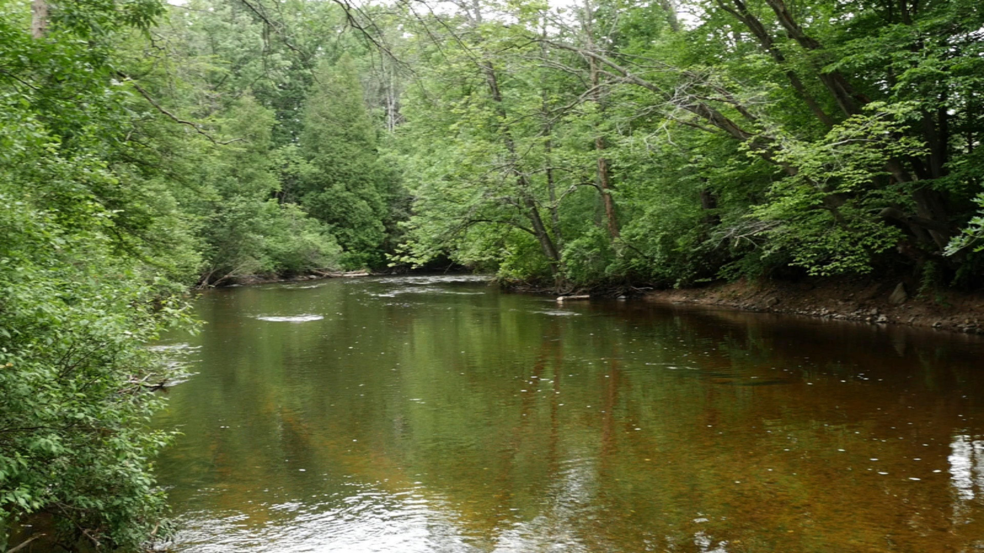 19579 Washington Road Morley, MI 49336 - Photo 54 of 54 River 6