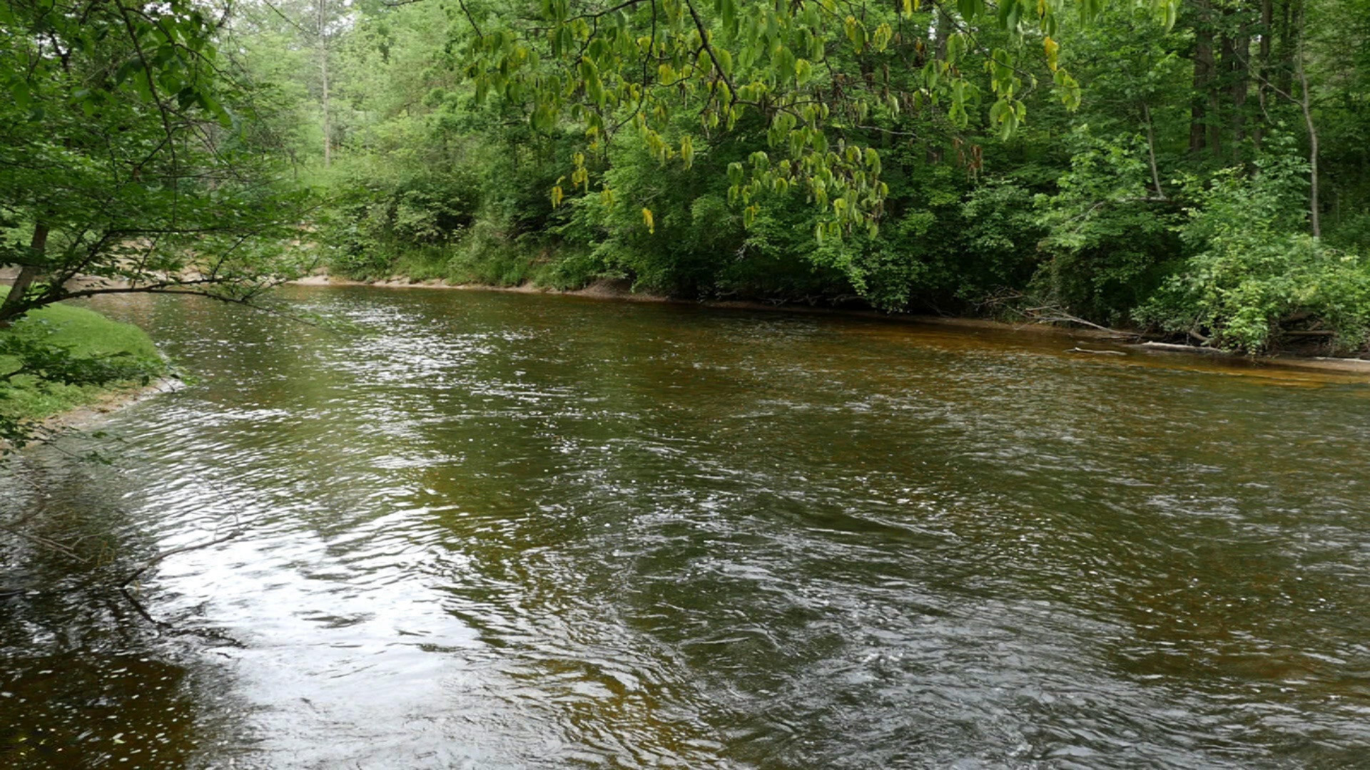 19579 Washington Road Morley, MI 49336 - Photo 6 of 54 River 4