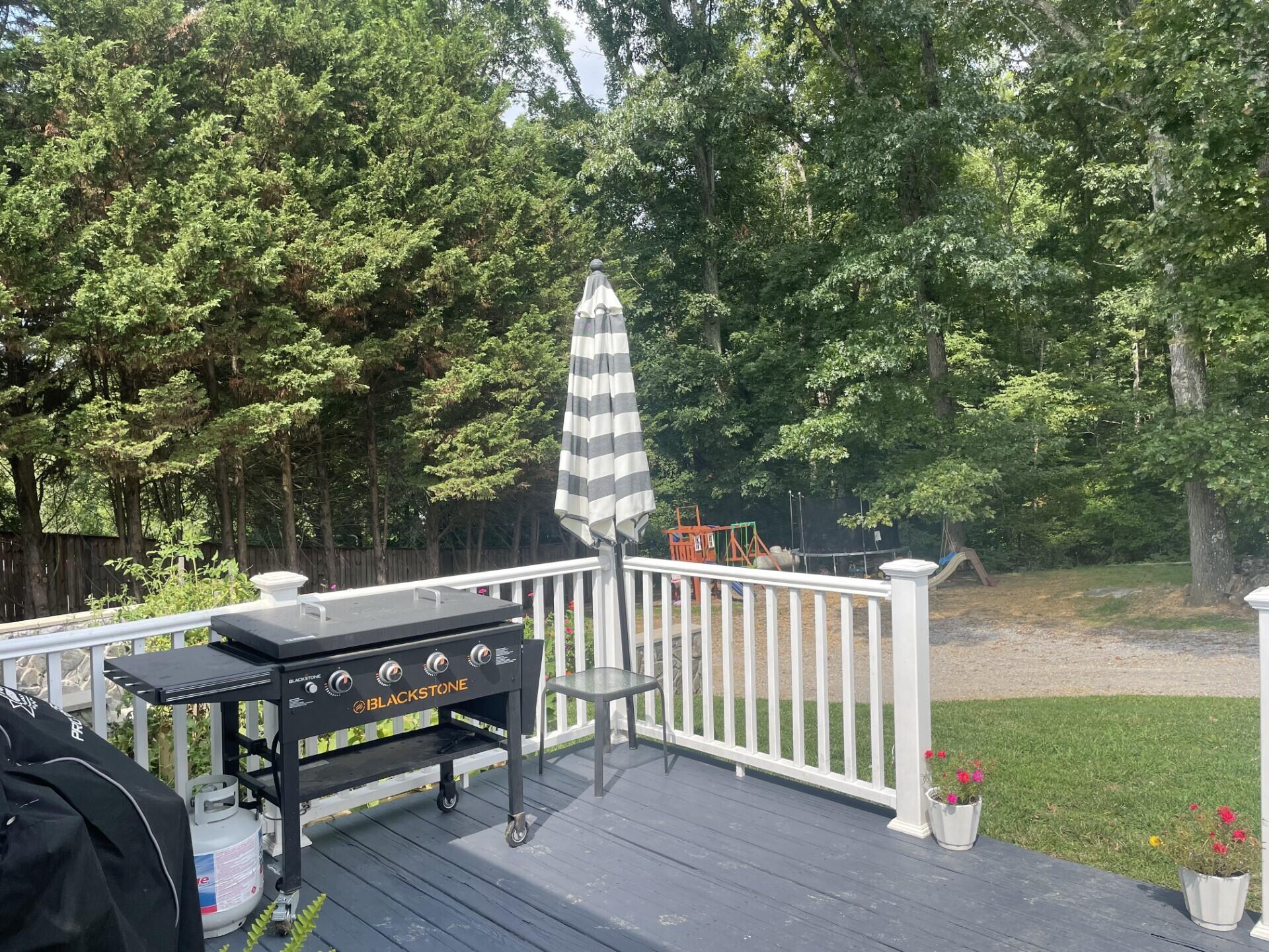 1048 Warrensburg Road Greeneville, TN 37743 - Photo 41 of 55 thumbnail_IMG_7534