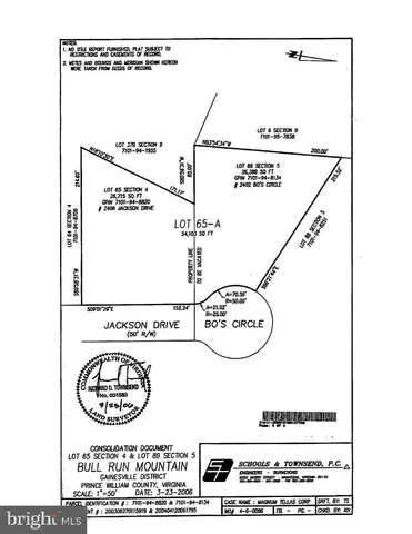 a view of trees in a yard