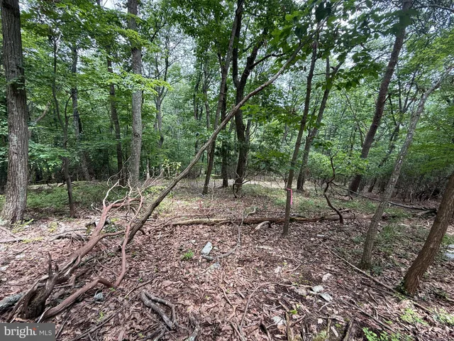 a big yard with lots of green space and deers