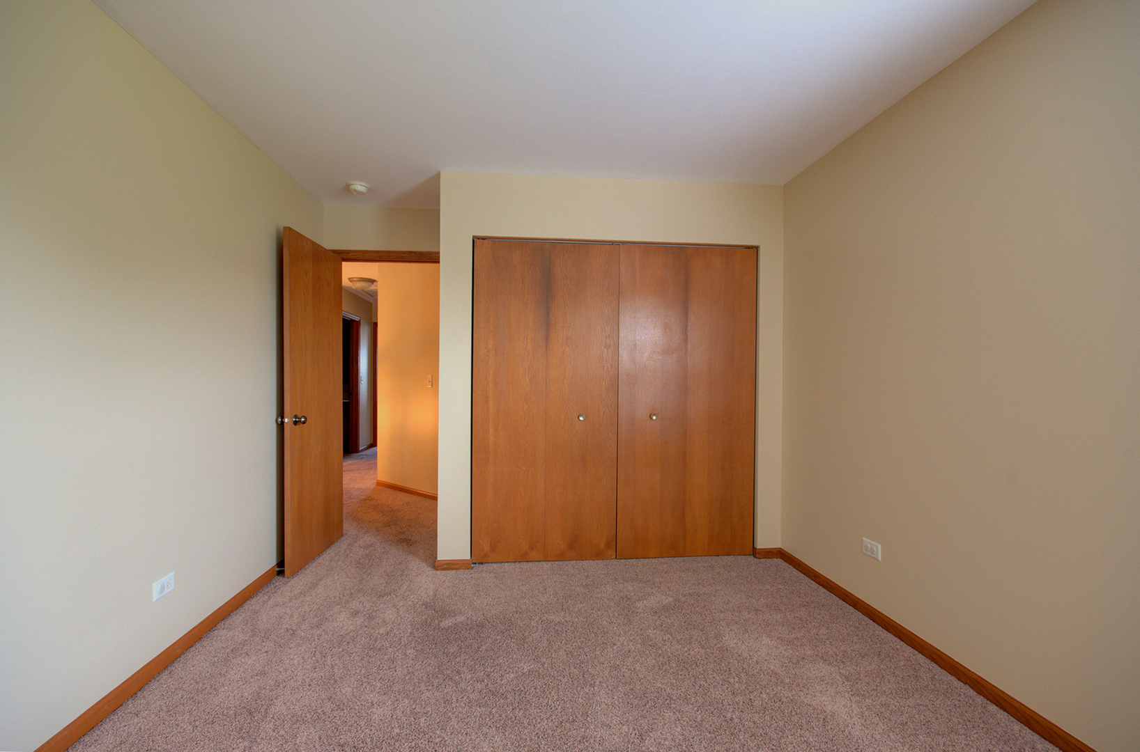 520 Frieh Drive Romeoville, IL 60446 - Photo 19 of 26 an empty room with closet area