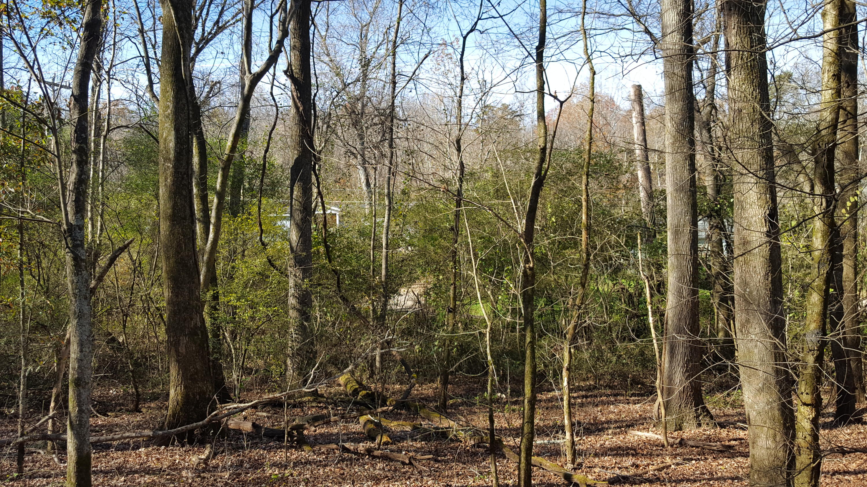 0 Lullwater Road Red Bank, TN 37415 - Photo 2 of 6 0 Lullwater