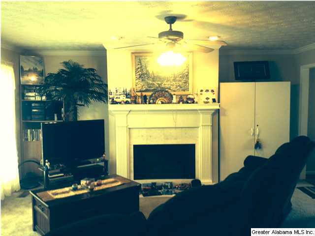 30 Deer Path Anniston, AL 36207 - Photo 2 of 30