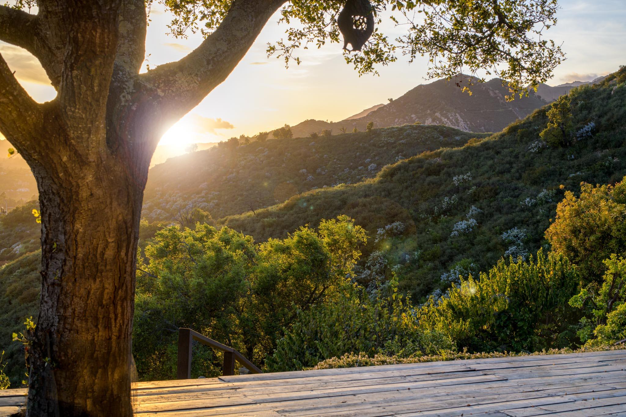 909 Park Lane Montecito, CA 93108 - Photo 23 of 39 a view of a yard