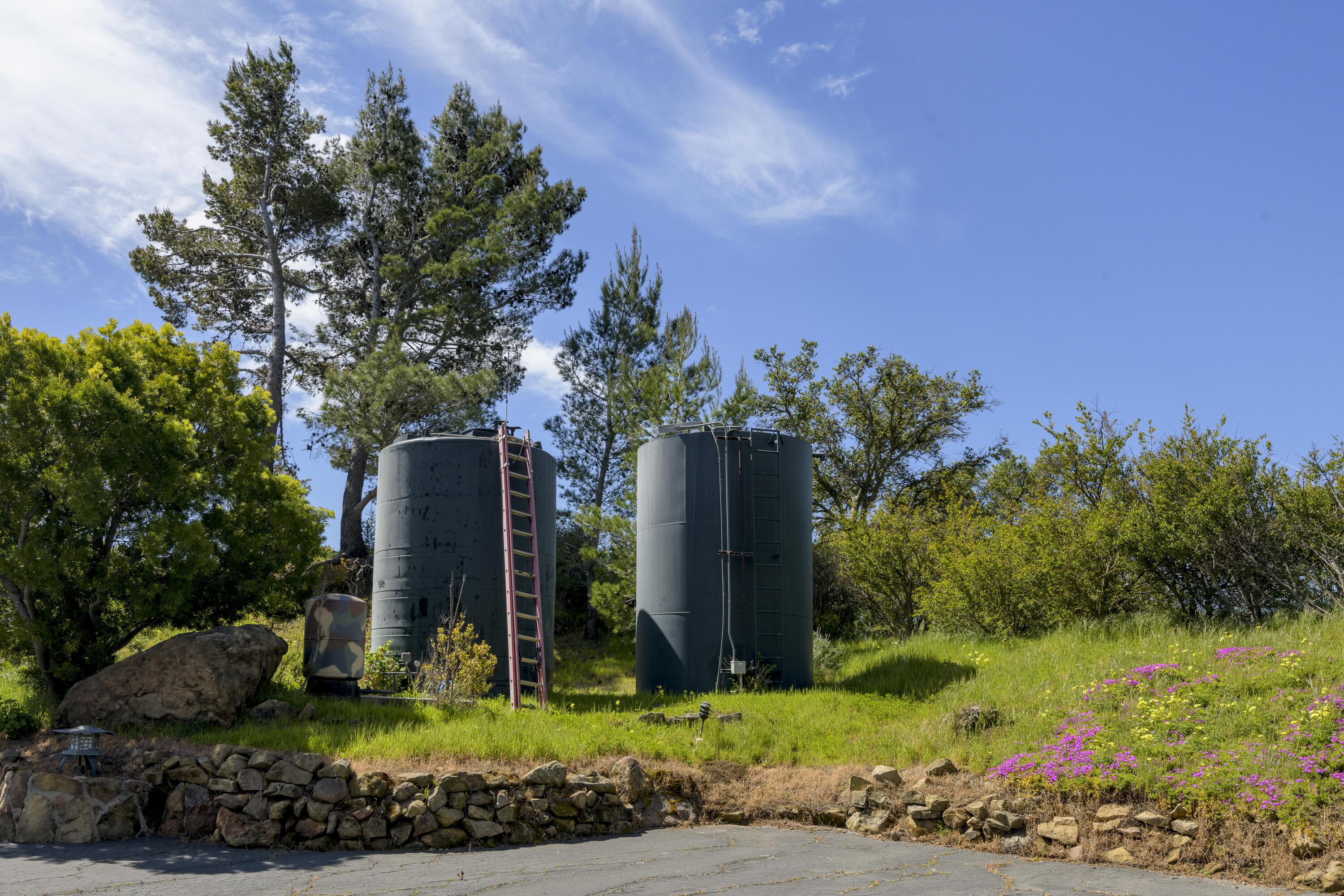 909 Park Lane Montecito, CA 93108 - Photo 37 of 39 a view of a garden with potted plants