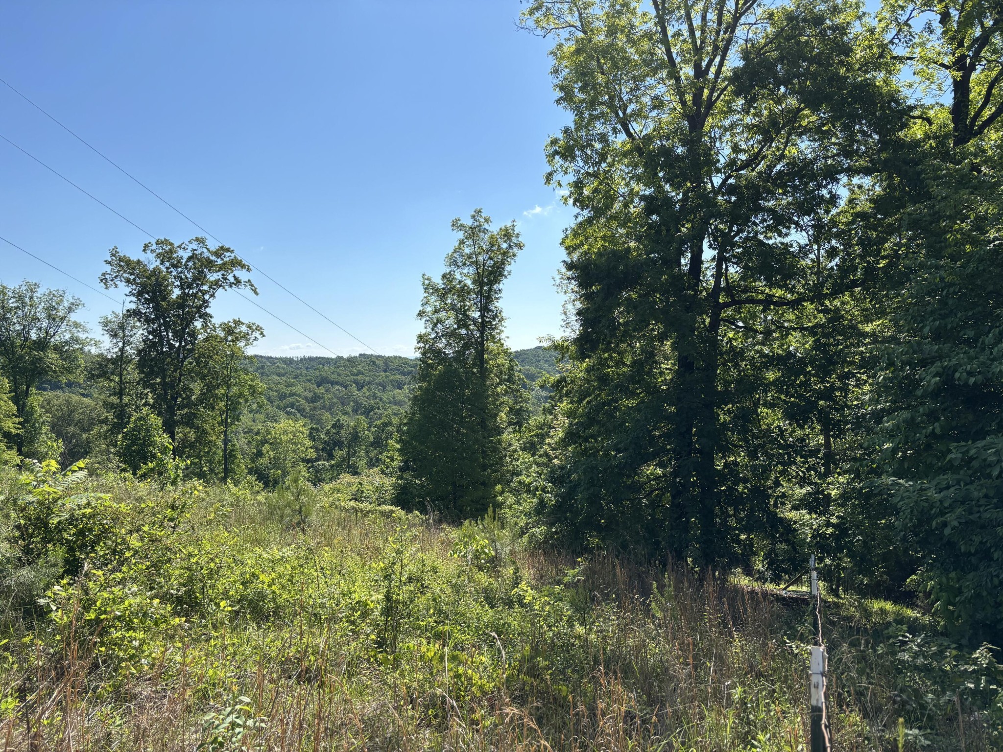 2125 Van Davis Road Georgetown, TN 37336 - Photo 1 of 4