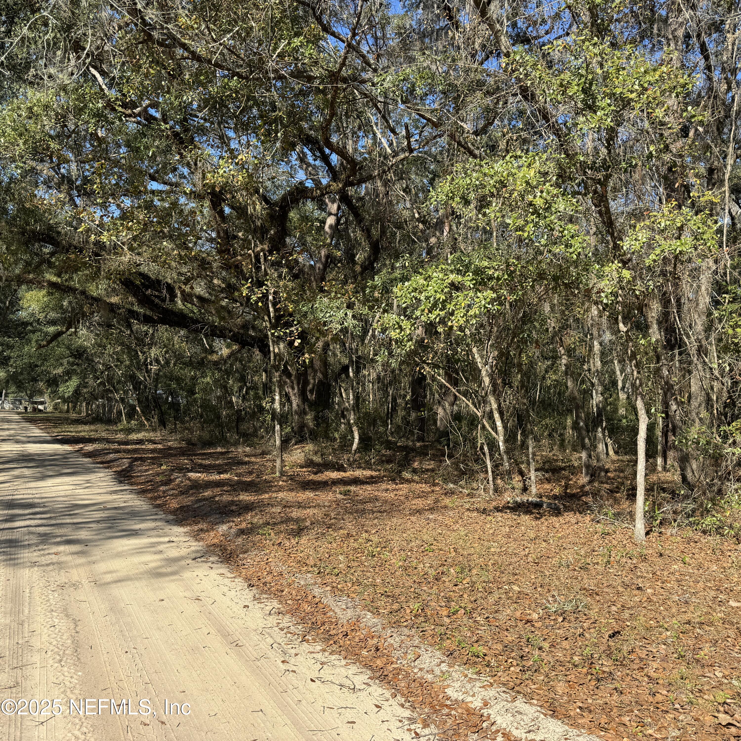 0 Chestnut Rd, Hawthorne, Florida