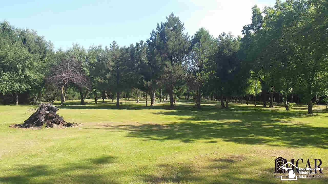 2261 East Rauch Road Erie, MI 48133 - Photo 15 of 38