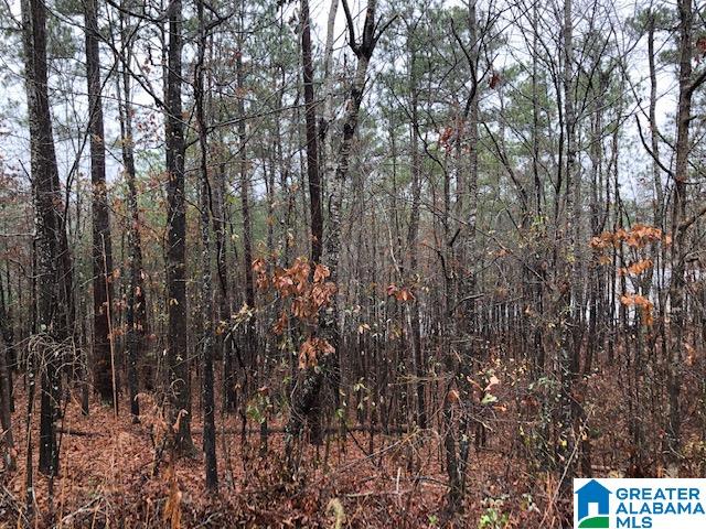 0 Lakeside Lane, Unit 31 Alpine, AL 35014 - Photo 2 of 42