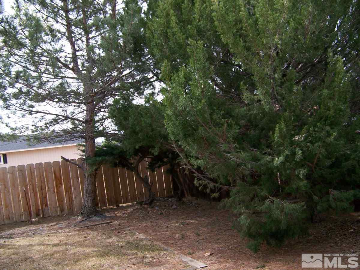 739 Bluerock Road Gardnerville, NV 89460 - Photo 9 of 16 Photo 9