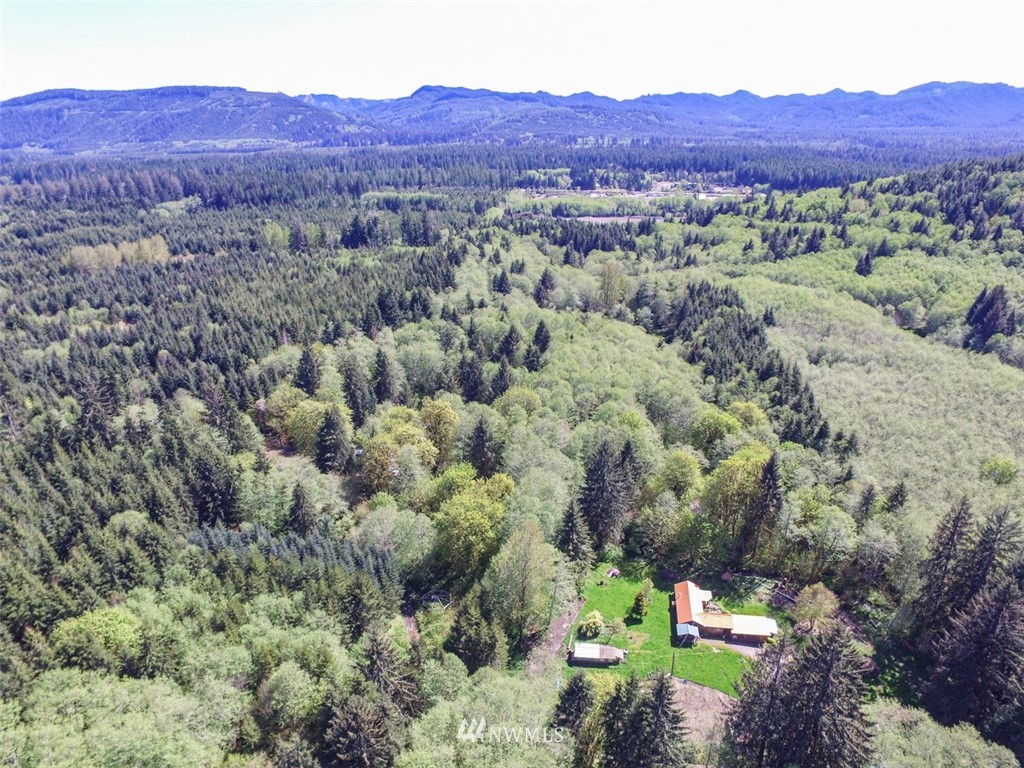 446 Grant Road Port Angeles, WA 98363 - Photo 4 of 40 Gallery Image 4