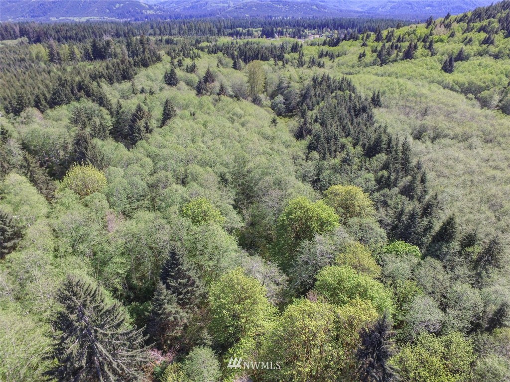 446 Grant Road Port Angeles, WA 98363 - Photo 39 of 40 Gallery Image 39
