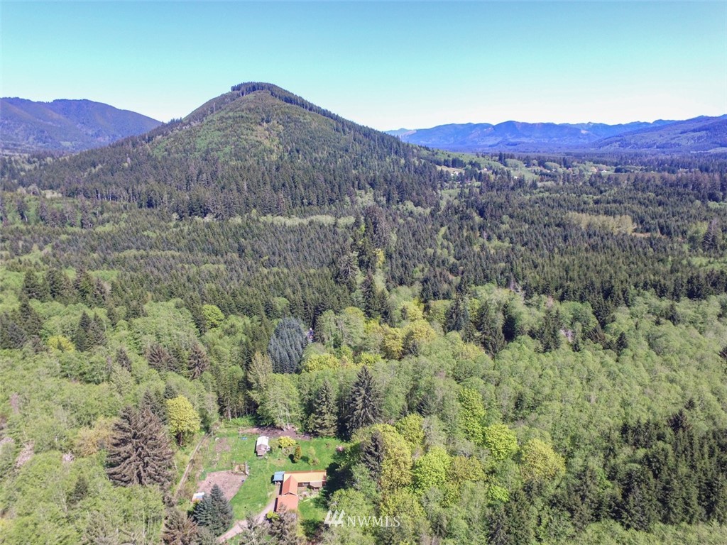 446 Grant Road Port Angeles, WA 98363 - Photo 8 of 40 Gallery Image 8