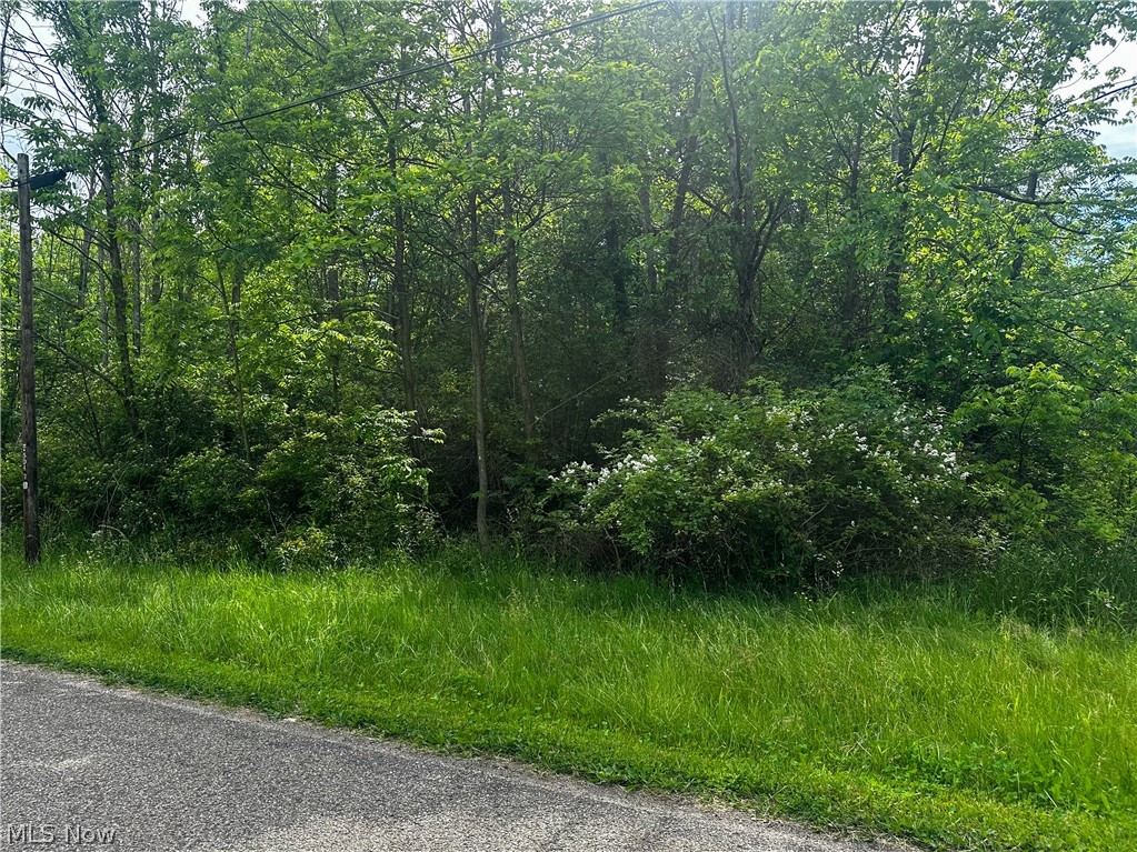 2375 Howland Wilson Road Northeast Cortland, OH 44410 - Photo 2 of 2