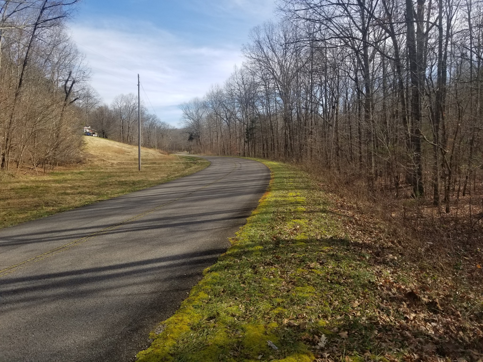 0 R W Moore Highway Only, TN 37140 - Photo 1 of 5 Gallery Image 1
