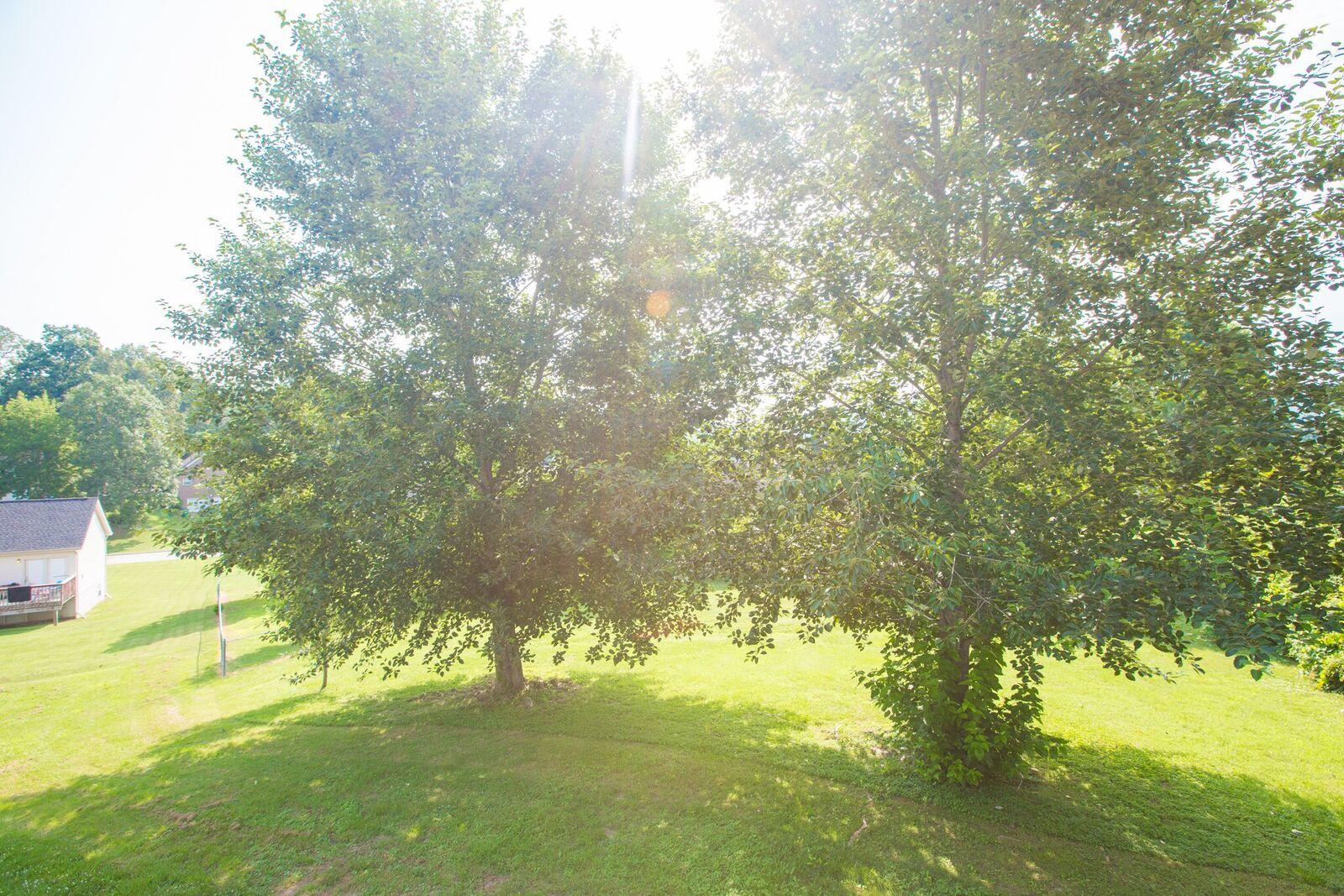 322 White Road Chattanooga, TN 37421 - Photo 45 of 48 white.22