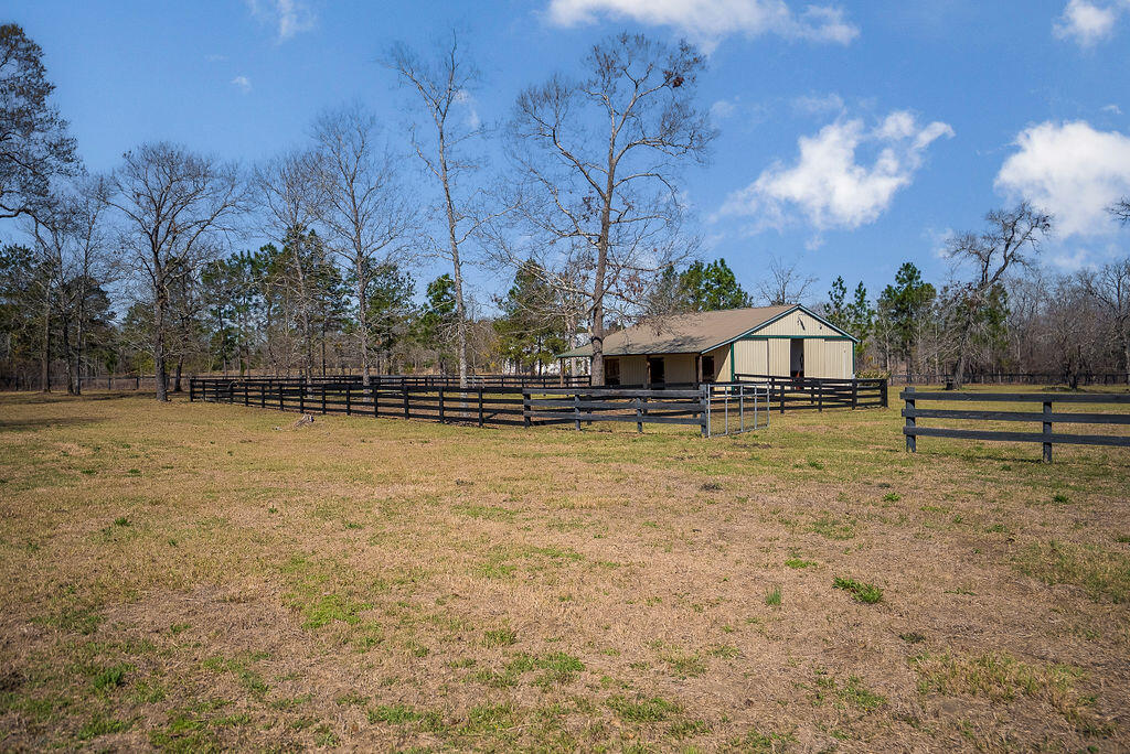 411 Bluffwood Road Wagener, SC 29164 - Photo 18 of 23