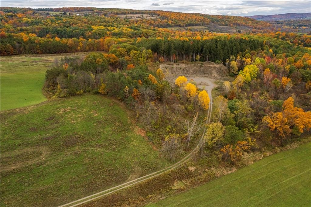 Mills Road Road Montour Falls, NY 14865 - Photo 7 of 10