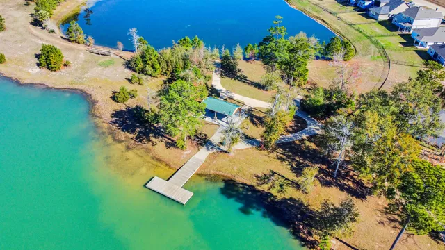 a view of a yard with plants