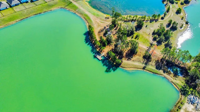 a view of a green yard