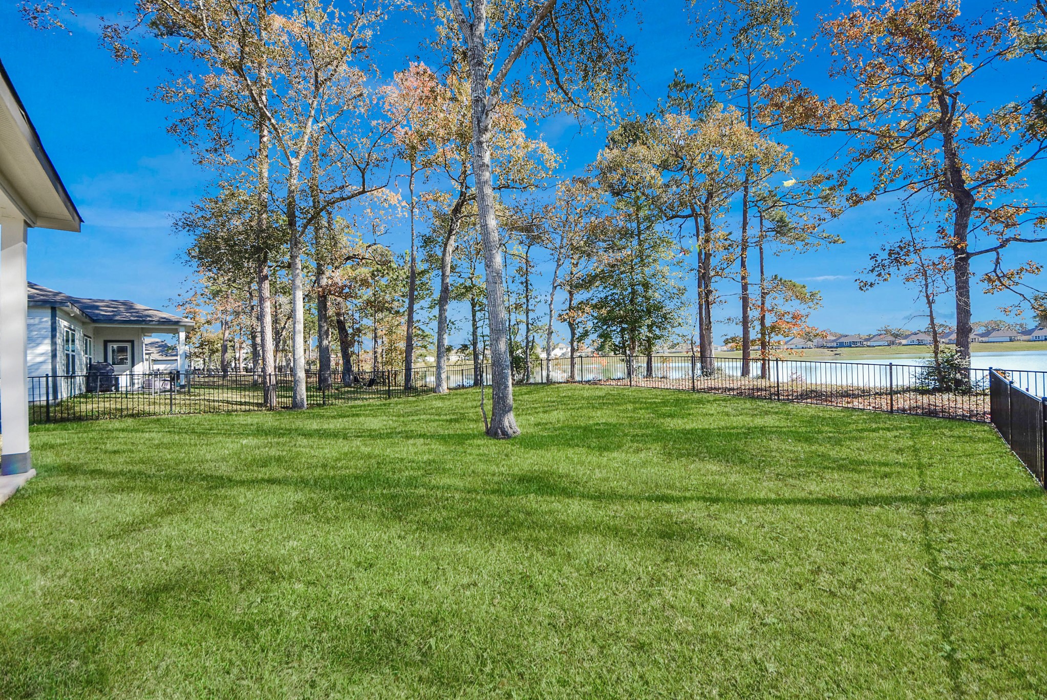 473 Shoreview Drive Conroe, TX 77303 - Photo 10 of 49 a view of a park with large trees