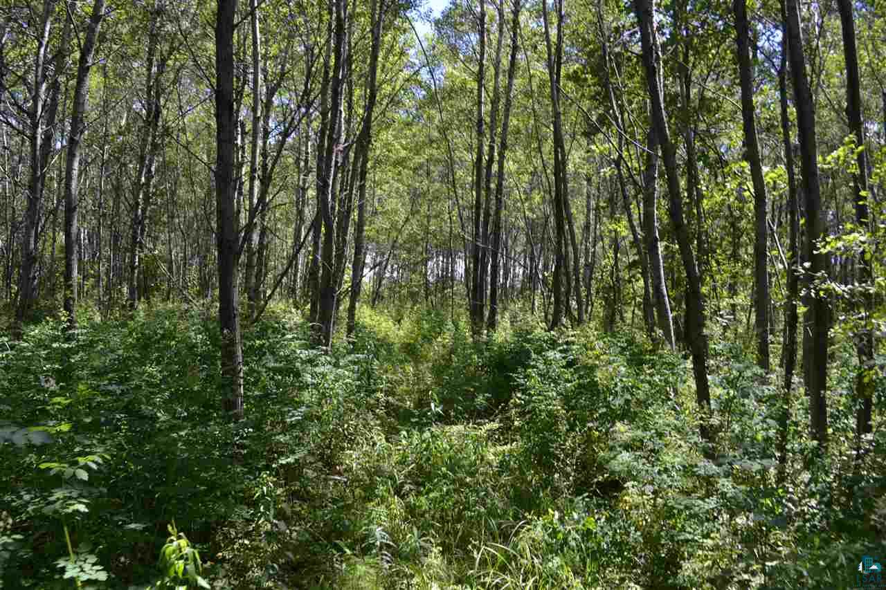 3600 Lindahl Road Hermantown, MN 55810 - Photo 14 of 21 Gallery Image 14