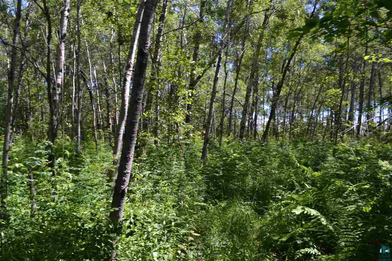 3600 Lindahl Road Hermantown, MN 55810 - Photo 16 of 21 Gallery Image 16