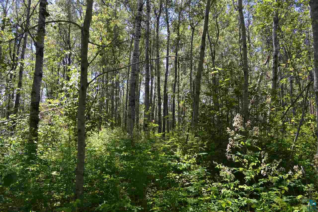 3600 Lindahl Road Hermantown, MN 55810 - Photo 17 of 21 Gallery Image 17