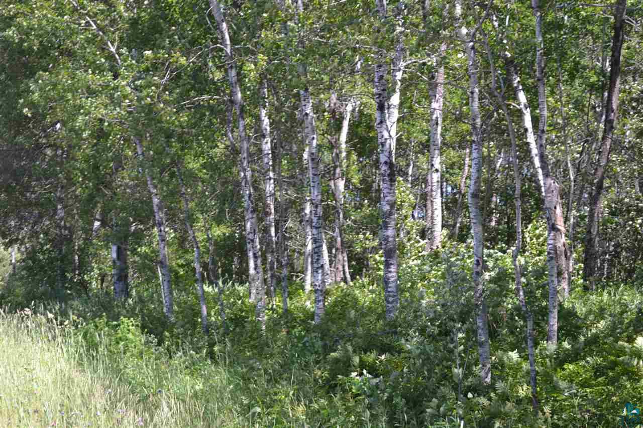 3600 Lindahl Road Hermantown, MN 55810 - Photo 4 of 21 Gallery Image 4