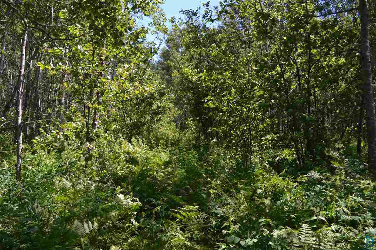 3600 Lindahl Road Hermantown, MN 55810 - Photo 7 of 21 Gallery Image 7