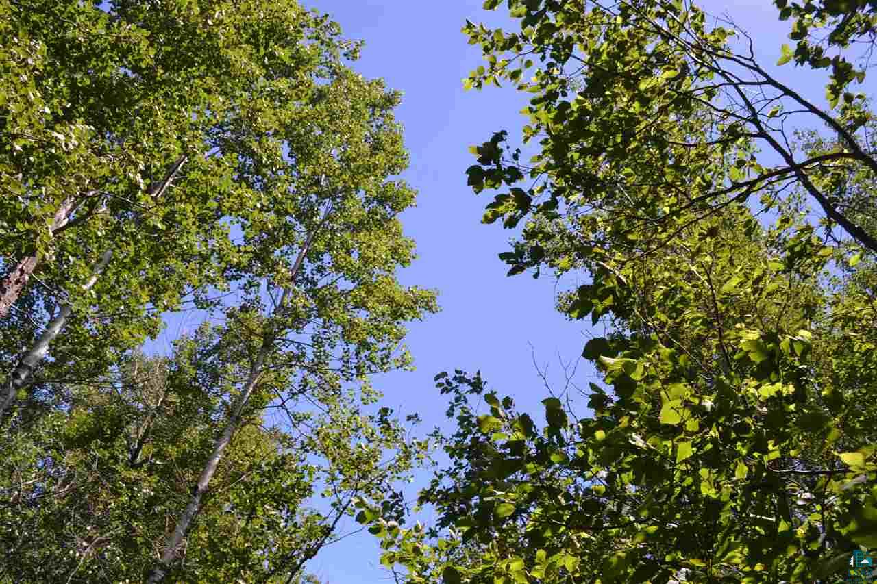 3600 Lindahl Road Hermantown, MN 55810 - Photo 9 of 21 Gallery Image 9