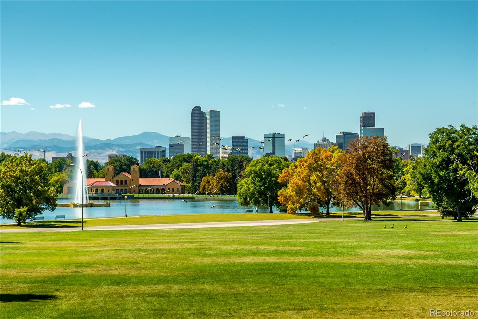 3056 York Street Denver, CO 80205 - Photo 42 of 44 a view of a park with large trees