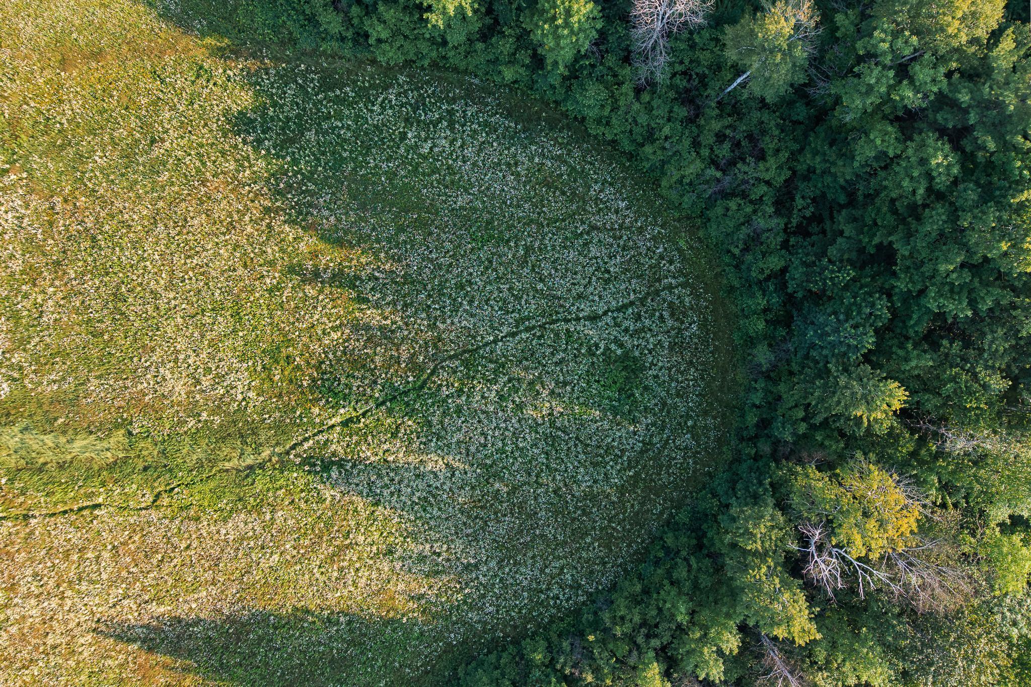 18467 Vineland Road Onamia, MN 56359 - Photo 31 of 52