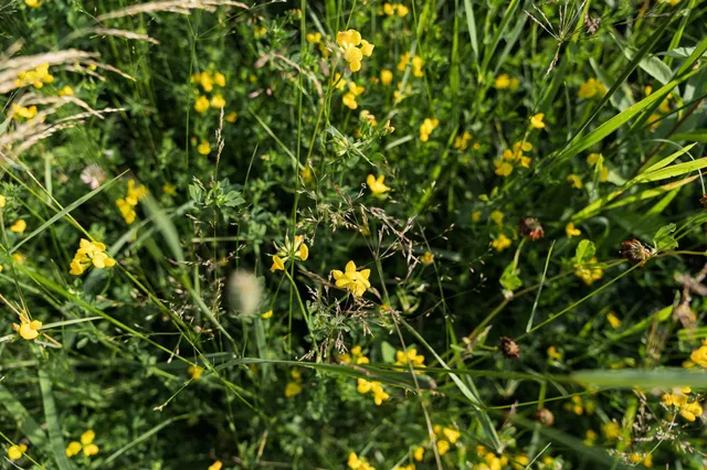 $389,900 | 18467 Vineland Road, Onamia, MN 56359