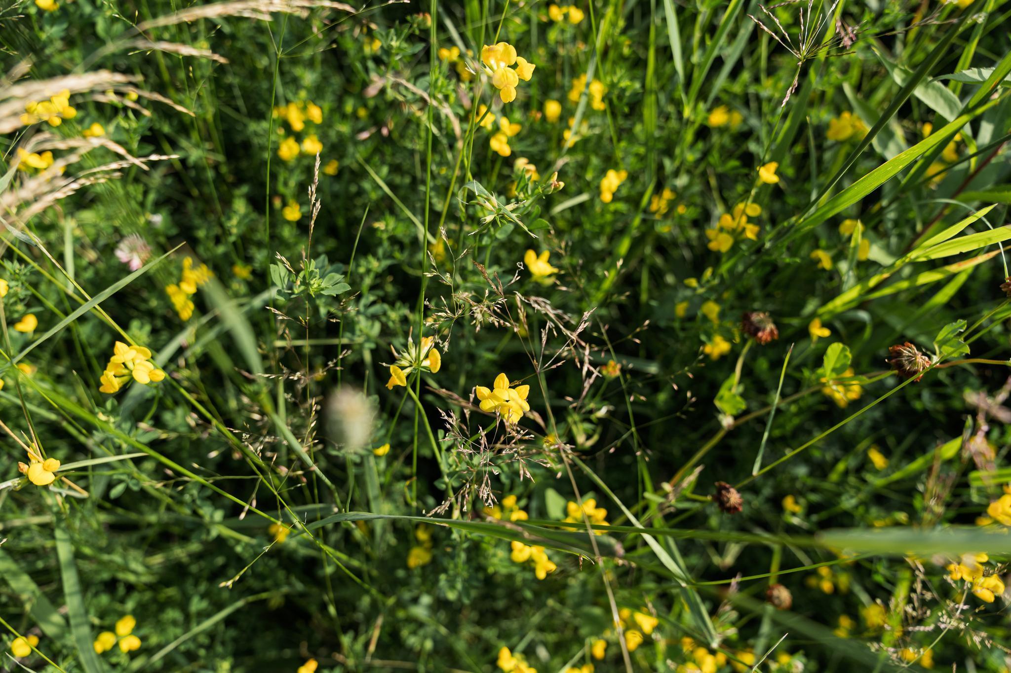 18467 Vineland Road Onamia, MN 56359 - Photo 34 of 52