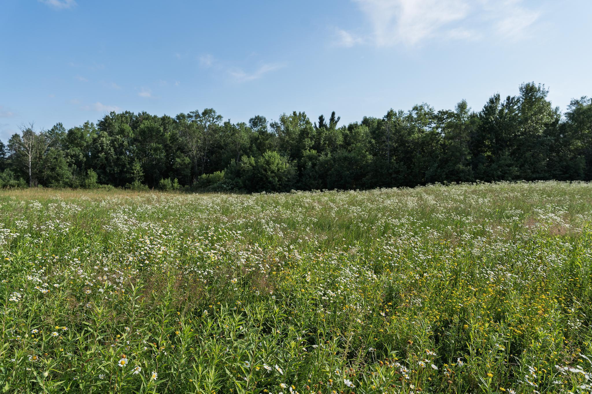 18467 Vineland Road Onamia, MN 56359 - Photo 36 of 52