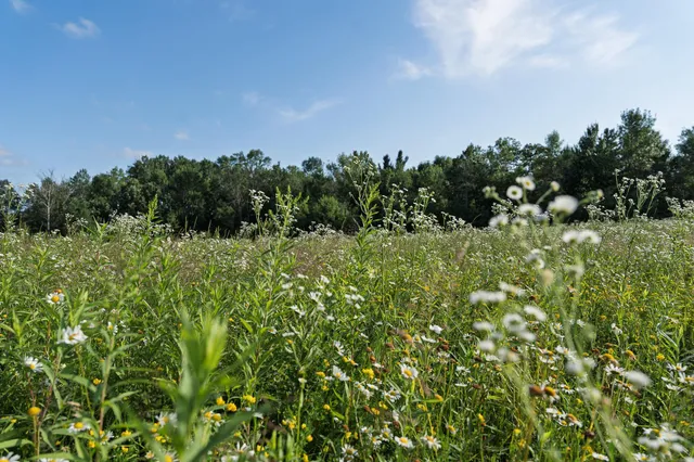 $389,900 | 18467 Vineland Road, Onamia, MN 56359