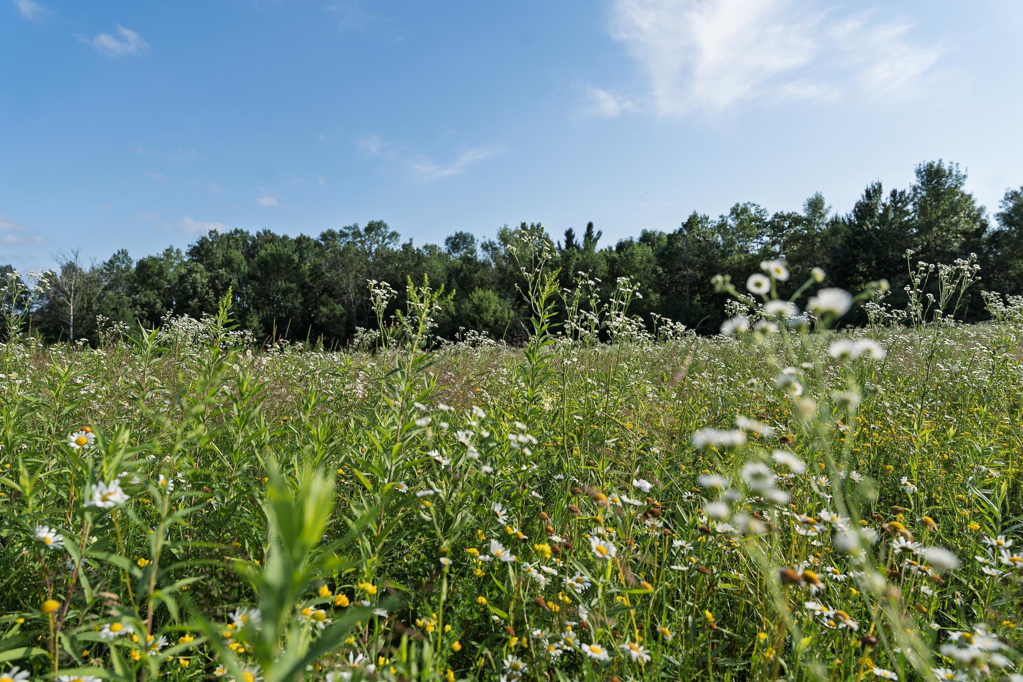 18467 Vineland Road Onamia, MN 56359 - Photo 38 of 52