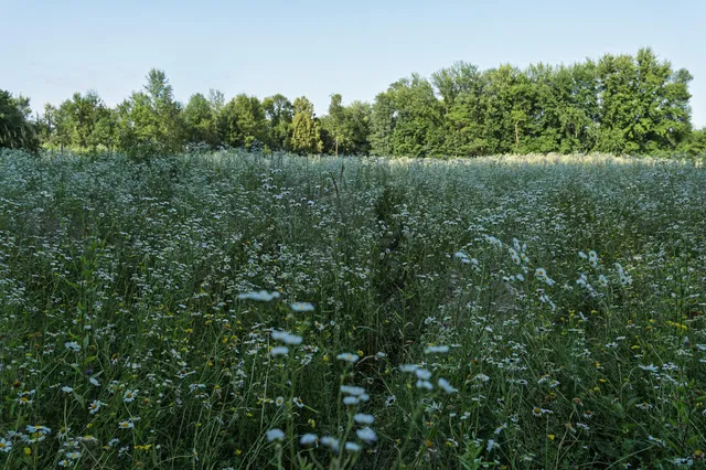 $389,900 | 18467 Vineland Road, Onamia, MN 56359