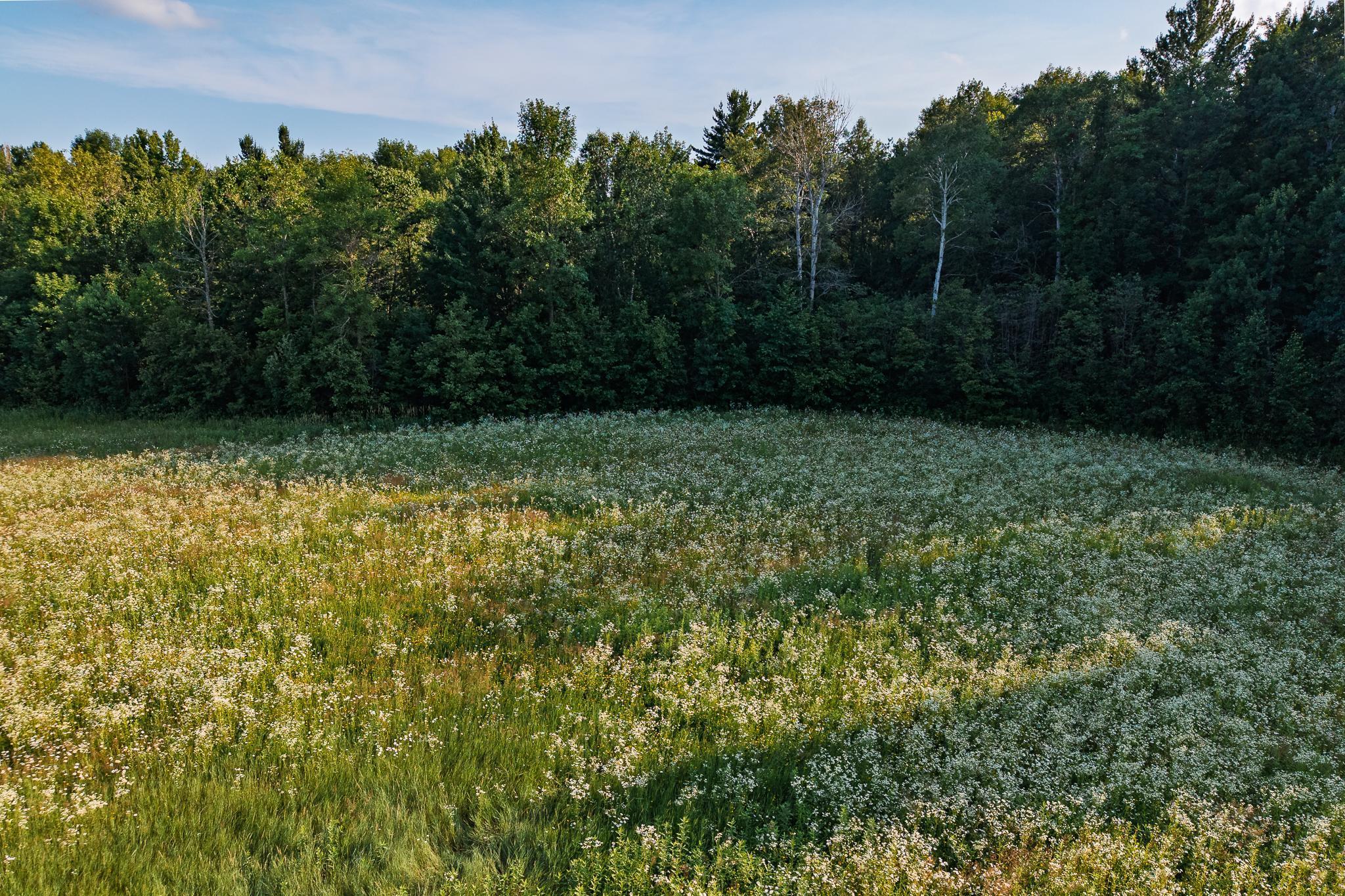 18467 Vineland Road Onamia, MN 56359 - Photo 41 of 52